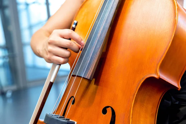 Gros plan du violoncelle avec archet dans les mains — Photo