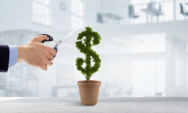 Care and protect your money — Stock Image Care and protect your money Royalty Free Stock Photos