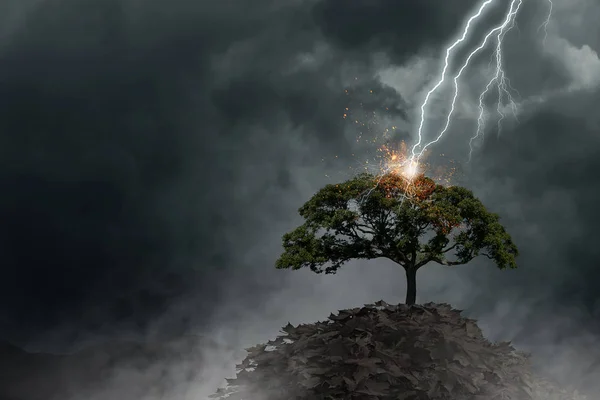 Яркая молния ударила в дерево — стоковое фото