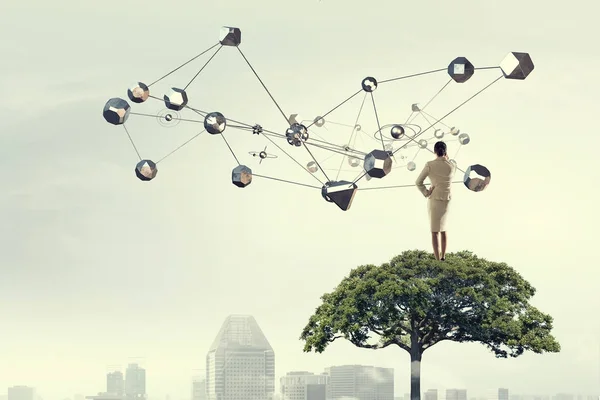 Businesswoman on tree crown. Mixed media — Stock Photo, Image