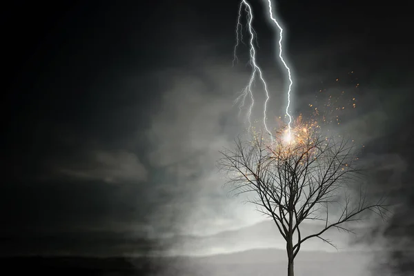 Heldere bliksem sloeg de boom — Stockfoto