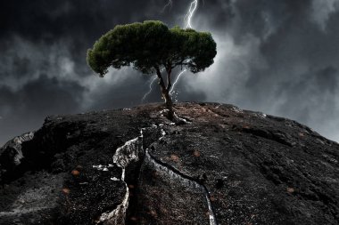 Yalnız ağaç ve gri gökyüzü. Karışık teknik