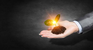 Yeni bir hayat doğumu. Karışık teknik