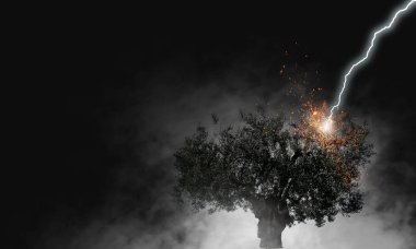 Parlak yıldırım ağaca çarptı
