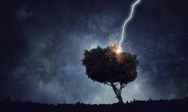 Bright lightning hit the tree — Stock Photo, Image