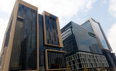 Gökdelen alttan görünüm