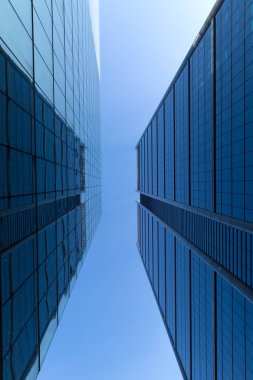 Gökdelen alttan görünüm