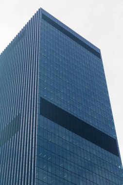 Gökdelen alttan görünüm