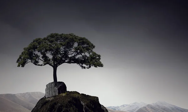 Conceito ecológico verde — Fotografia de Stock