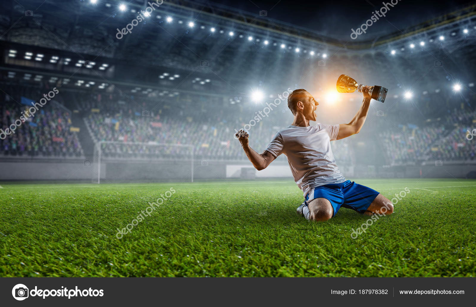 8.600 fotos de stock e banco de imagens de Cancha De Jogo De