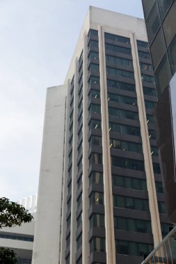 Gökdelen alttan görünüm