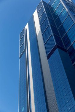 Gökdelen alttan görünüm