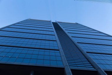 Gökdelen alttan görünüm