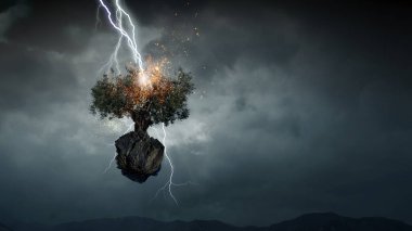 Parlak yıldırım ağaca çarptı