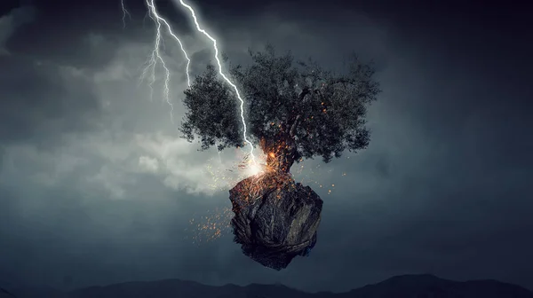 Jasný blesk udeřil strom — Stock fotografie