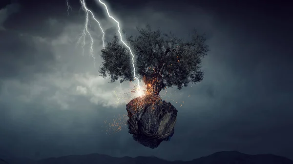 Bright lightning hit the tree — Stock Photo, Image