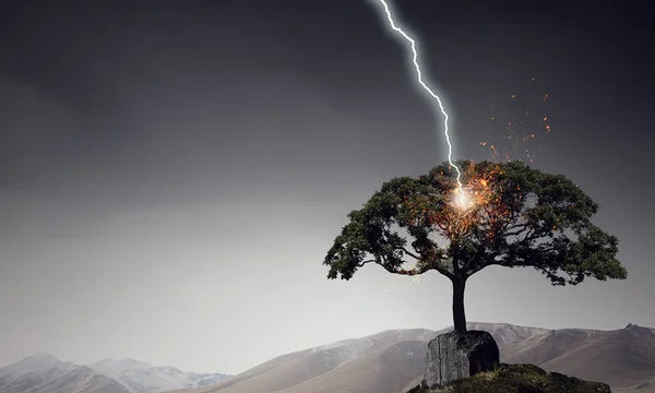 Ljusa blixtar slå trädet — Stockfoto