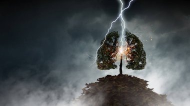 Parlak yıldırım ağaca çarptı