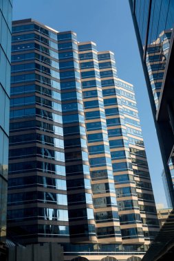 Gökdelen alttan görünüm