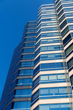 Gökdelen alttan görünüm