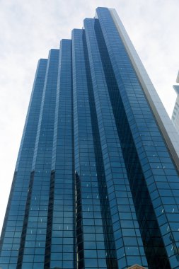 Gökdelen alttan görünüm