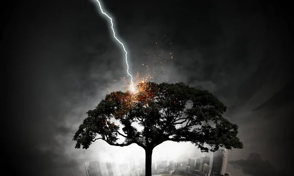 Bright lightning hit the tree — Stock Photo, Image