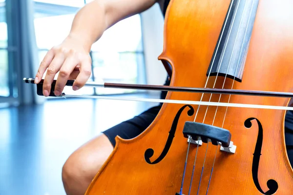 Primer plano de violonchelo con arco en las manos — Foto de Stock