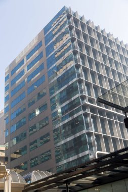 Gökdelen alttan görünüm