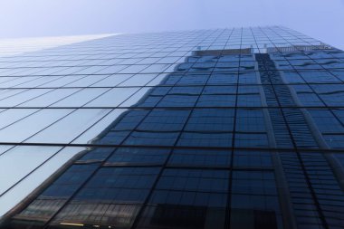 Gökdelen alttan görünüm