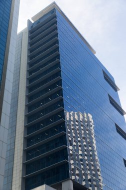 Gökdelen alttan görünüm