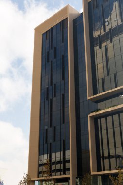 Gökdelen alttan görünüm