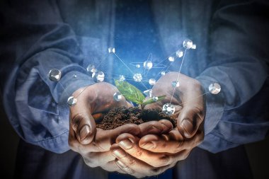 Yeni bir hayat doğumu. Karışık teknik