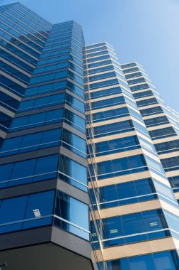 Gökdelen alttan görünüm