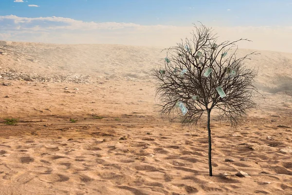 Yksinäinen vihreä puu aavikolla. Sekalaiset tiedotusvälineet — kuvapankkivalokuva
