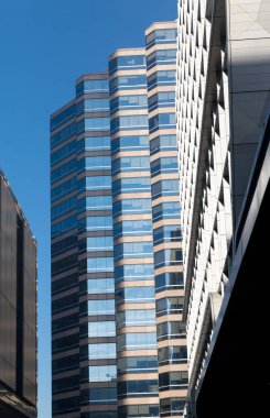 Gökdelen alttan görünüm