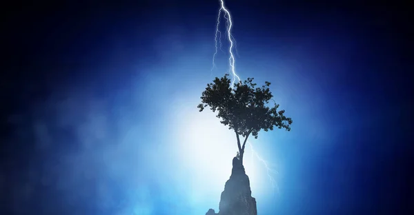 Bright lightning hit the tree — Stock Photo, Image