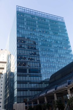 Gökdelen alttan görünüm