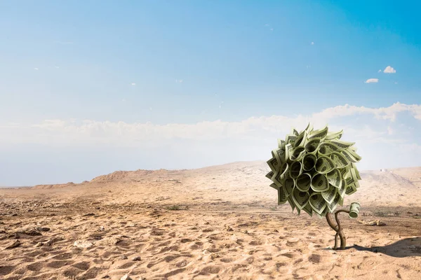 Lonely green tree in the desert. Mixed media — Stock Photo, Image