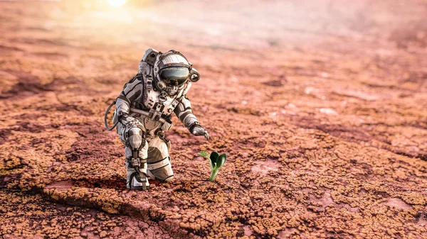 Há vida em outro planeta. Meios mistos — Fotografia de Stock