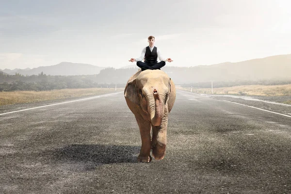 O hayvan güç ve güç sahiptir. Karışık teknik