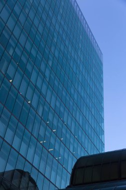 Gökdelen alttan görünüm