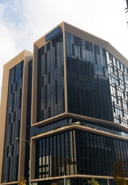 Gökdelen alttan görünüm