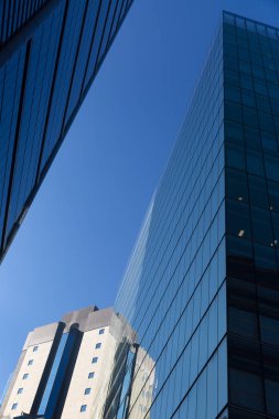 Gökdelen alttan görünüm