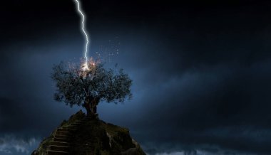 Parlak yıldırım ağaca çarptı