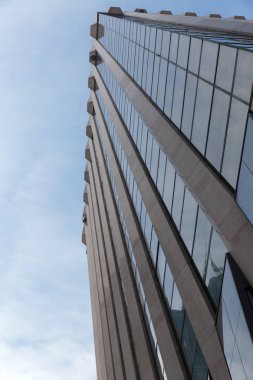 Gökdelen alttan görünüm