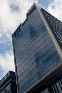 Gökdelen alttan görünüm