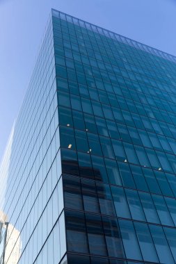 Gökdelen alttan görünüm