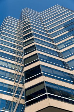 Gökdelen alttan görünüm