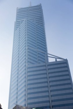 Gökdelen alttan görünüm