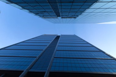 Gökdelen alttan görünüm